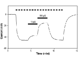 UBP 282