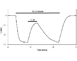YM 90K hydrochloride
