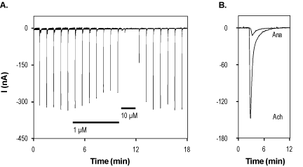 DMAB-anabaseine dihydrochloride