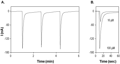 1,1-Dimethyl-4-phenylpiperazinium iodide