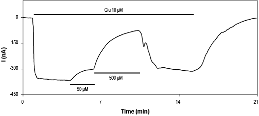 DNQX disodium salt