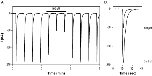 DL-AP5
