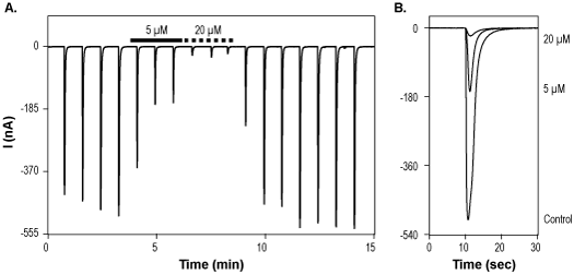 5,7-Dichlorokynurenic acid monohydrate