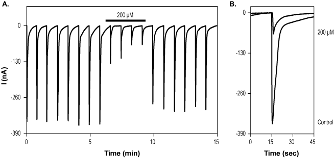 DL-AP7