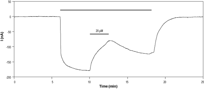 Evans Blue tetrasodium salt