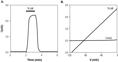 1-EBIO