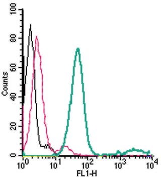 Anti-EAAT1 (GLAST) (extracellular)-FITC Antibody
