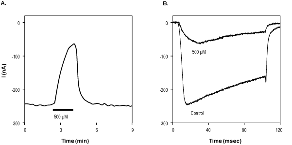 sFTX-3.3
