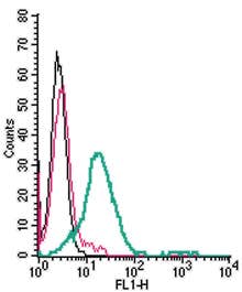 Anti-GPR120/FFAR4 (extracellular)-FITC Antibody