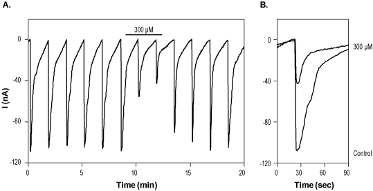 GYKI 52466 hydrochloride