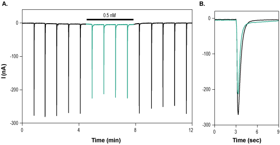 GMQ hydrochloride