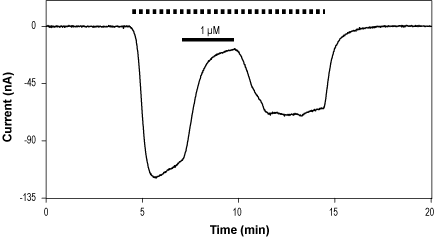 Gabazine