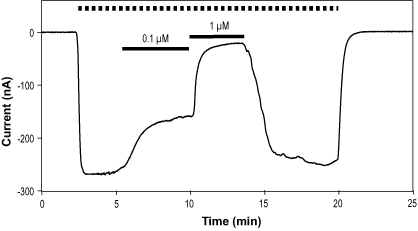 Gabazine hydrobromide