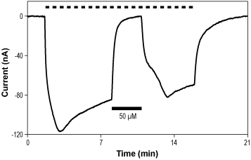 GYKI 53655 hydrochloride