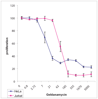 Geldanamycin