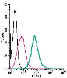 Anti-GPER1/GPR30 (extracellular)-FITC Antibody