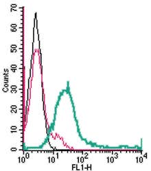 Anti-GPR171 (extracellular) Antibody