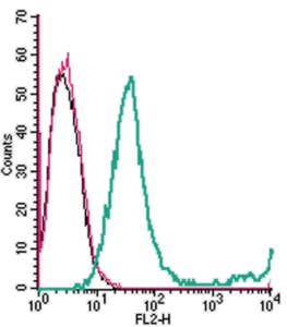 Anti-GPR65 (TDAG8) (extracellular)-PE Antibody