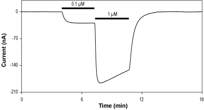 Isoguvacine hydrochloride