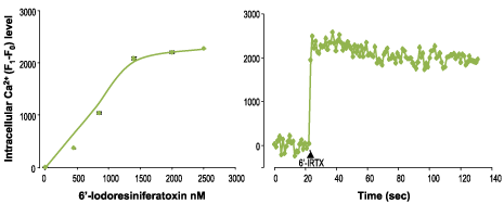 6'-Iodoresiniferatoxin