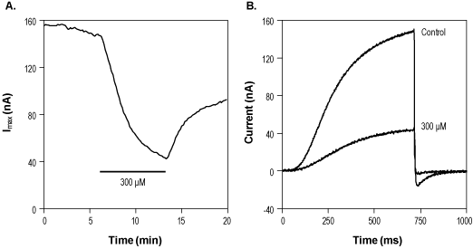 Linopirdine