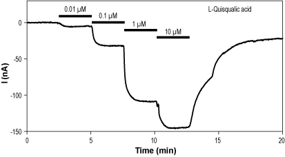 L-Quisqualic acid