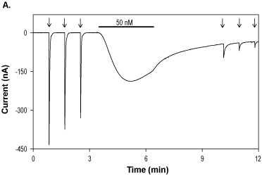 MitTx Toxin