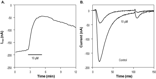 Mibefradil dihydrochloride hydrate