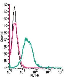Anti-MERTK (extracellular) Antibody