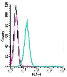 Anti-µ-Opioid Receptor/OPRM1 (extracellular)-FITC Antibody