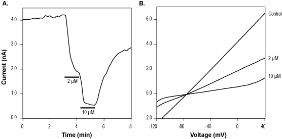NS8593 hydrochloride