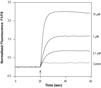Nonivamide