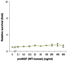 Recombinant human proNGF protein