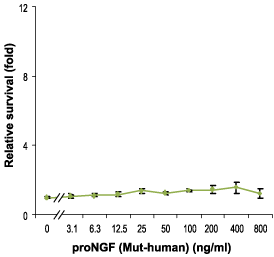 Recombinant human proNGF (cleavage resistant) protein