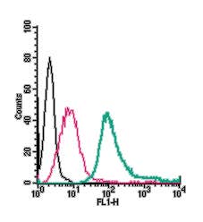Anti-Neurokinin 1 Receptor (NK1R) (extracellular)-FITC Antibody