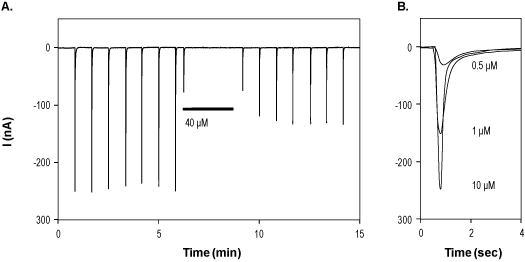 PNU 282987