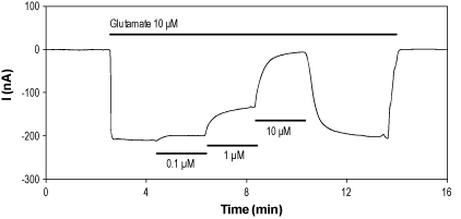 PhTx-74