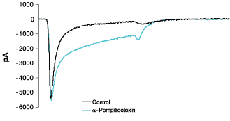 α-Pompilidotoxin