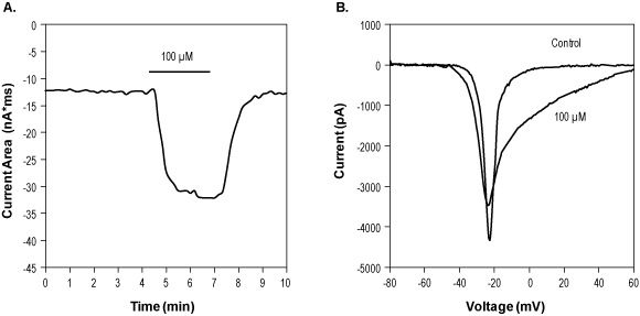 3R12Rα-Pompilidotoxin