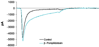 β-Pompilidotoxin