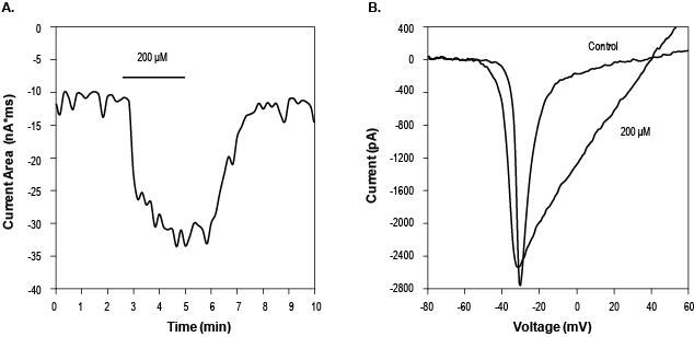 1Kβ-Pompilidotoxin