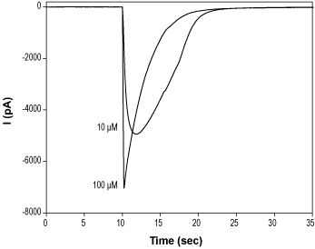 1-Phenylbiguanide hydrochloride