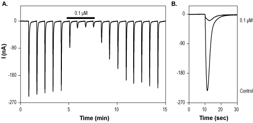 PEAQX tetrasodium hydrate