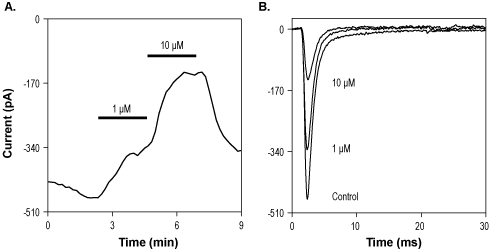 Pyrrolopyrimidine 48
