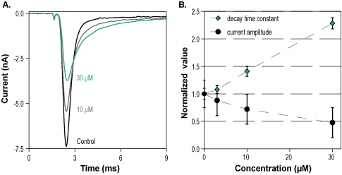 Na<sub>V</sub>1.1-Compound 3a