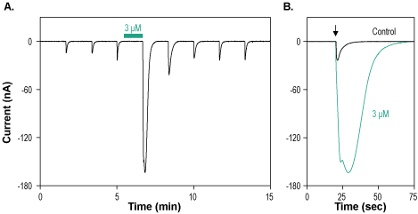 PNU-120596