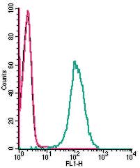 Anti-Human PAR2/F2RL1 (extracellular) Antibody