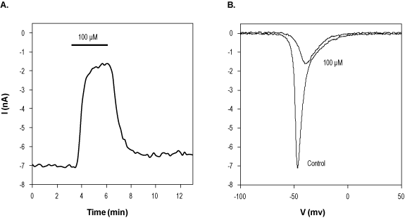 Ralfinamide mesylate