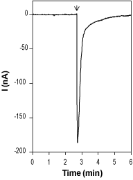RJR 2403 oxalate