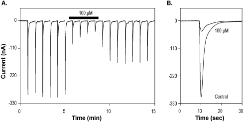 Ro 25-6981 maleate